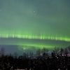 arcticallure